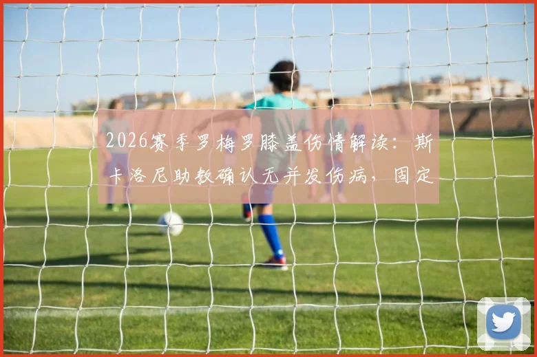 2026赛季罗梅罗膝盖伤情解读:斯卡洛尼助教确认无并发伤病,固定静养方案与康复时间线全解析